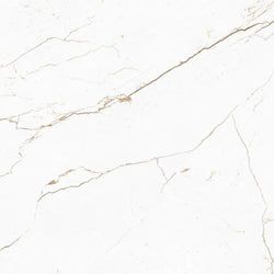 Color – White