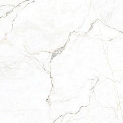 Color – White