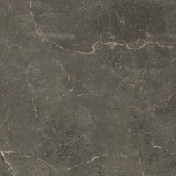 Color – Charcoal