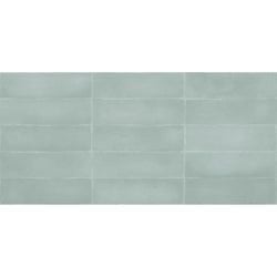 COLOR – MENTA
