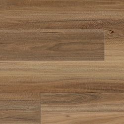 Style – Northern Spotted Gum