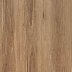Style – Blackbutt