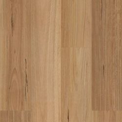 Nativa Blackbutt