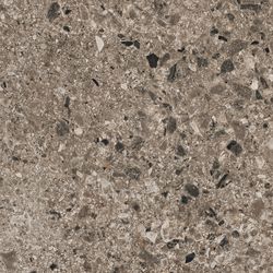 Color – Mokka