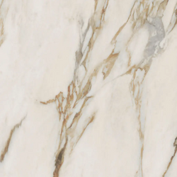 Color – Calacatta