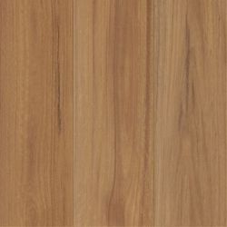 NSW Spotted Gum