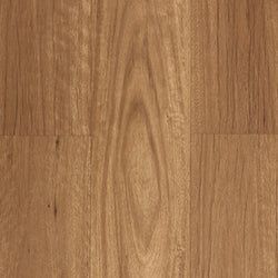 New England Blackbutt