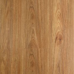 Oakleaf Colors – Spotted Gum