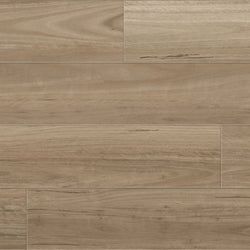 Native Blackbutt