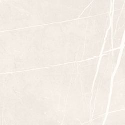 Color – Bone
