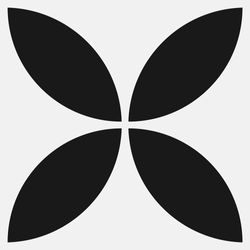Color – Classic B & W