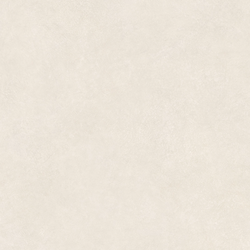 Color – Ivory