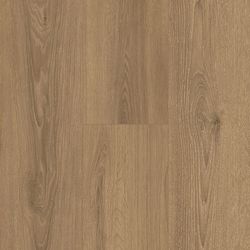 NextGen Colors – NP5511