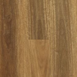 Spotted Gum