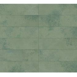 Color – Boreal