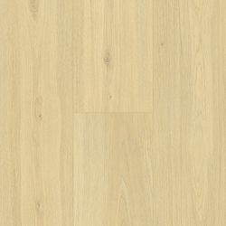 NextGen Colors – NP5503