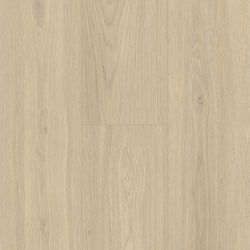 NextGen Colors – NP5509