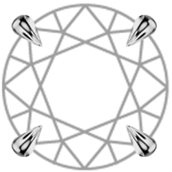 Prongs – 4 prongs