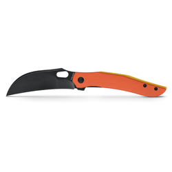 Color – Orange