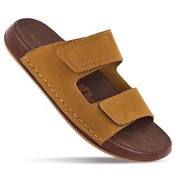 Colour – Camel