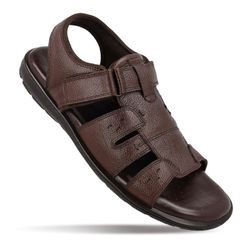Color – Brown