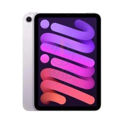 Color – Purple