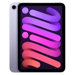 Color – Purple