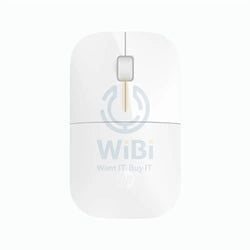 Color – Blizzard White