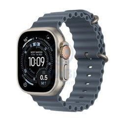Color – Natural Titanium Case with Anchor Blue Ocean Band