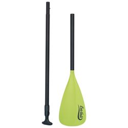 Kleur – Lime