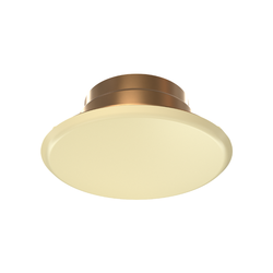 Selected Style – Ivory, 165 Degree, 09804MC/I