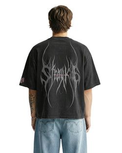 styles – stray