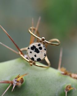 Stone – Dalmatian Jasper