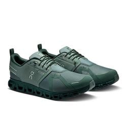 Olive | Evergreen