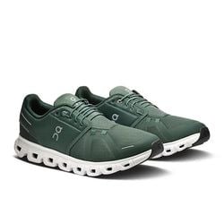 Olive | Evergreen