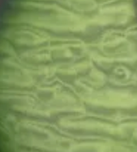Earth Green