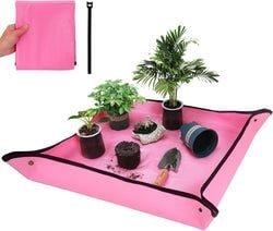 Color – Pink