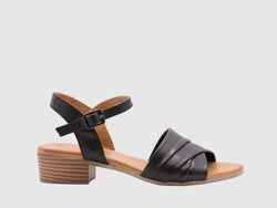 Color – Black