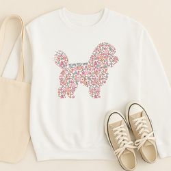 Bichon Frise