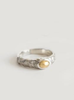 Finish – Silver with Gold