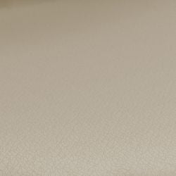 Colore – Beige