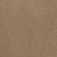 Couleur – Camel