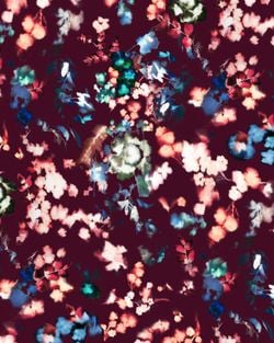 Variante – Burgundy Flash