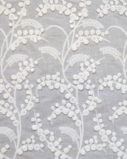 Variante – Pizzo Mimosa