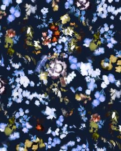 Variante – Blue Flash