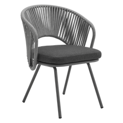 Dining Chairs (Set of 2)