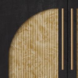 Color – Black & Burl