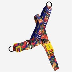 Samba