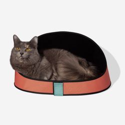 Color – Terracotta
