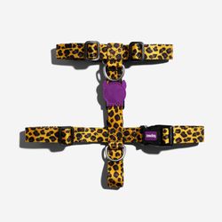 Gotham | H-Harness – Zee.Dog
